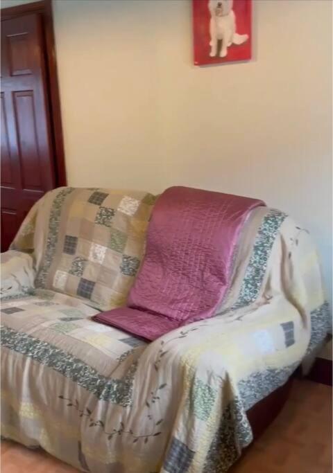 Annie Dee'S Guest Accommodation Ballygowan Dış mekan fotoğraf